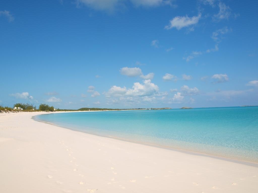 Tropical View *