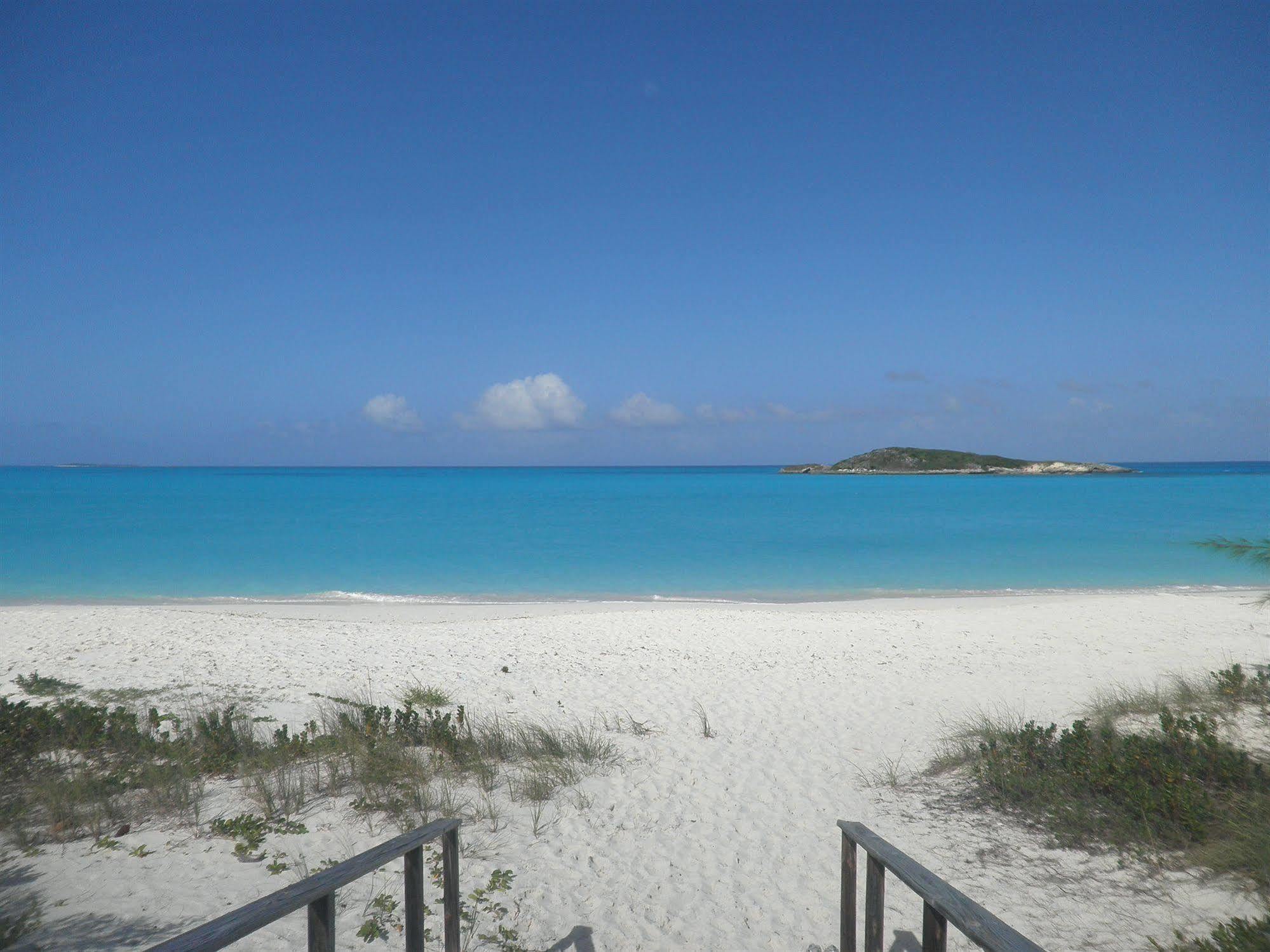 Tropical View * Hartswell